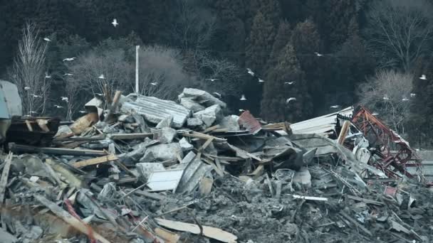 Tsunami Japão 2011 Fukushima — Vídeo de Stock