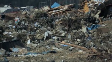 Tsunami Japonya 2011 (fukushima) 