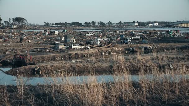 Tsunami Japonya 2011 Fukushima — Stok video