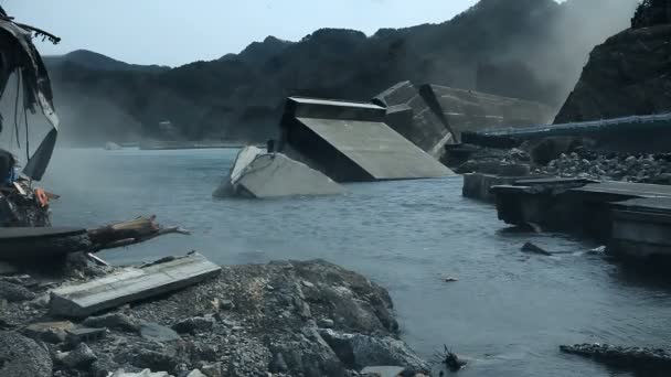 Tsunamin Japan 2011 Fukushima — Stockvideo