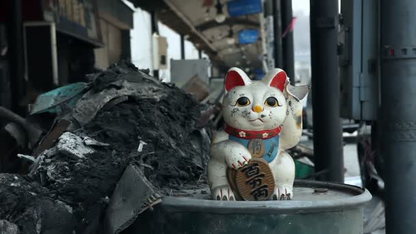 Japón Tsunami 2011 Fukushima — Vídeos de Stock