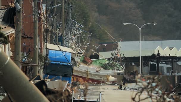 Tsunami Japonya 2011 Fukushima — Stok video