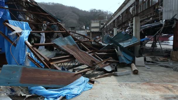 日本海啸 2011 — 图库视频影像