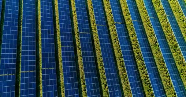 Solar Panels Aerial View — Stock Video