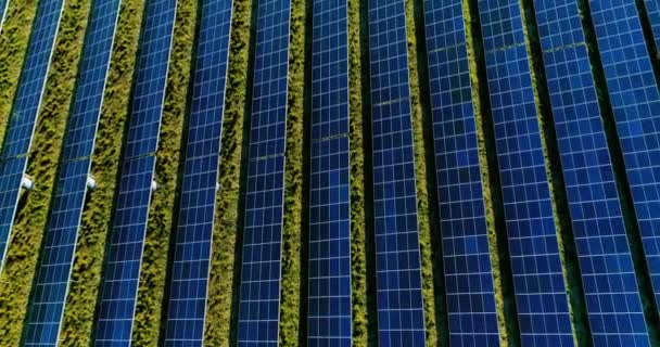 Solar Panels Aerial View — Stock Video