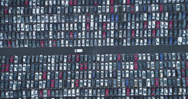 Χώρος Στάθμευσης Αυτοκινήτων Και Φορτηγών Εναέρια Άποψη — Αρχείο Βίντεο