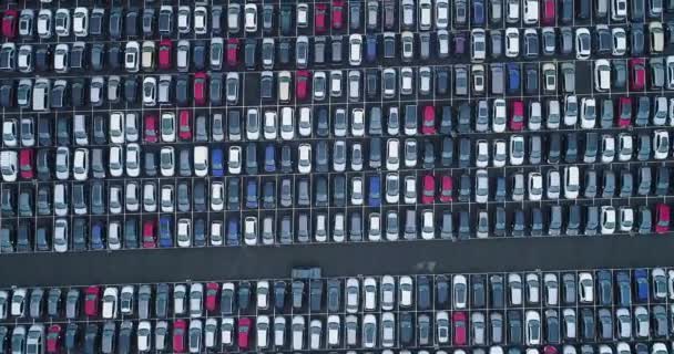 Parking Dla Samochodów Osobowych Ciężarówki Widok Lotu Ptaka — Wideo stockowe