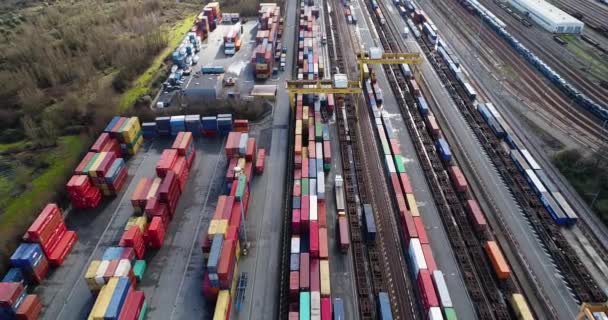 Station Freight Trains Containers Aerial View — Stock Video