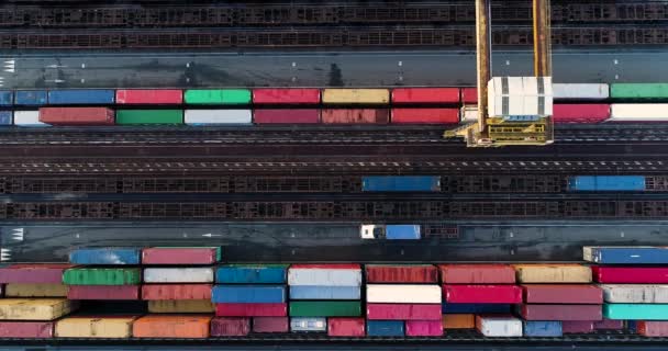 Container Luchtfoto — Stockvideo