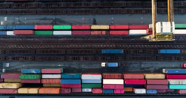 Bahnhof Mit Güterzügen Und Containern Aus Der Luft — Stockvideo