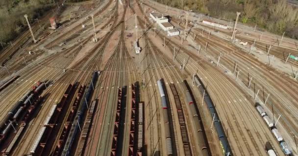 Station Met Goederentreinen Containers Luchtfoto — Stockvideo