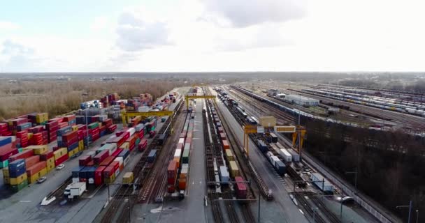 Station Met Goederentreinen Containers Luchtfoto — Stockvideo