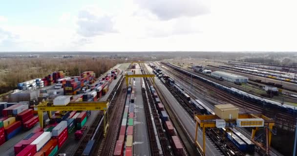 Stazione Con Treni Merci Container Vista Aerea — Video Stock
