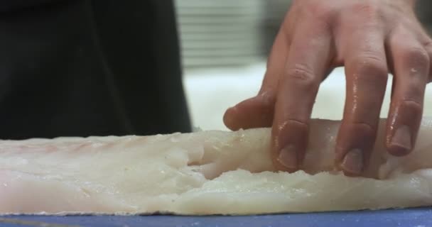 Fish Cut Cod Great Chef — Stock Video