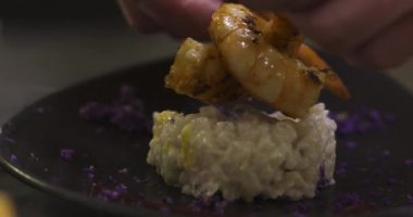 bir gurme restoranda karides risotto