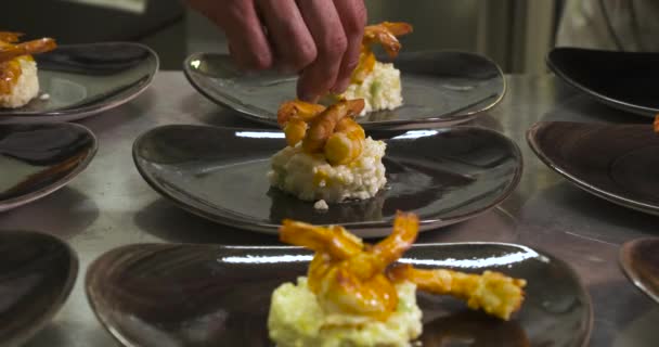 Risotto Camarones Restaurante Gourmet — Vídeos de Stock