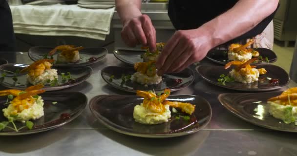 Risoto Camarão Restaurante Gourmet — Vídeo de Stock