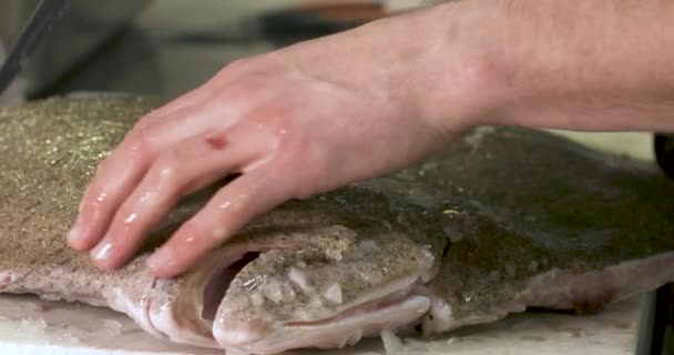 Corte Pescado Rodaballo Por Gran Chef — Vídeos de Stock