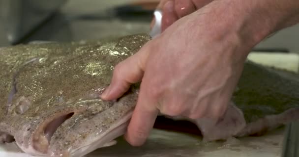 Corte Pescado Rodaballo Por Gran Chef — Vídeos de Stock