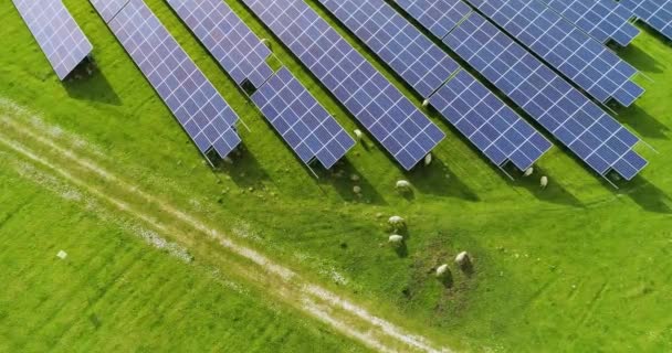 Paneles Solares Vista Aérea — Vídeo de stock