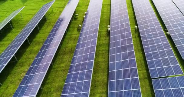 Zonnepanelen Vanuit Lucht Bekeken — Stockvideo