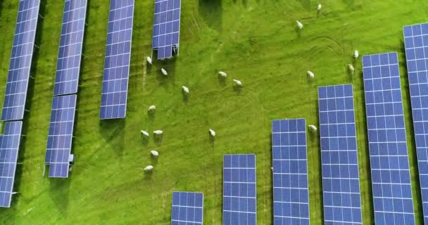 空中看到的太阳能电池板 — 图库视频影像