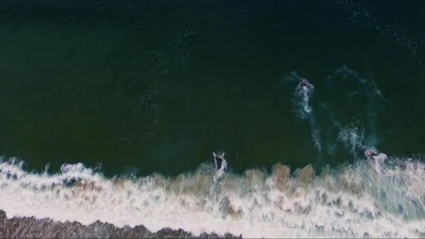 Homens Fazendo Jet Ski Nas Ondas — Vídeo de Stock