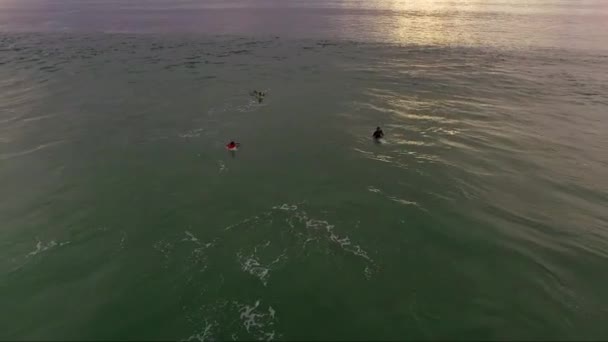 Surfer Sur Océan Atlantique France — Video