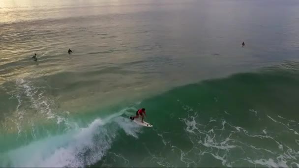 フランス大西洋をサーフィン — ストック動画