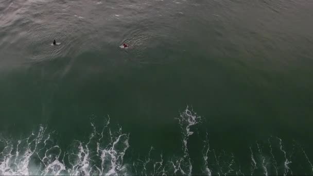 Surfar Oceano Atlântico França — Vídeo de Stock