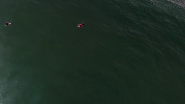 Surfer Sur Océan Atlantique France — Video