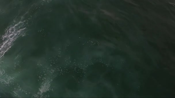 Szörfözés Atlanti Óceán Franciaország — Stock videók