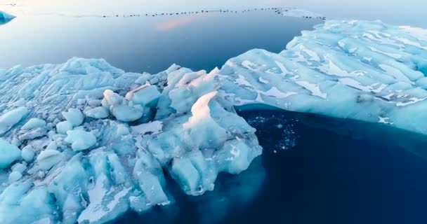 Σφραγίδες Ένα Παγετώνας Πάγο Εναέρια Άποψη — Αρχείο Βίντεο