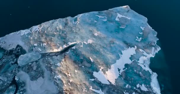 Glaciär Och Isbergslandskap — Stockvideo