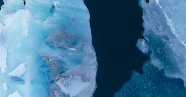 Σφραγίδες Ένα Παγετώνας Πάγο Εναέρια Άποψη — Αρχείο Βίντεο