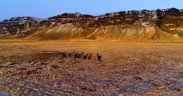 Flygfoto Över Bergslandskapet Island — Stockvideo