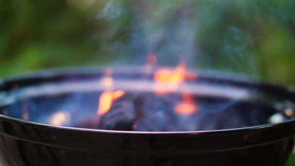 Barbacoa Primer Plano Cámara Lenta — Vídeos de Stock