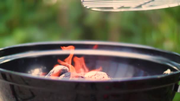 Barbecue Primo Piano Rallentatore — Video Stock
