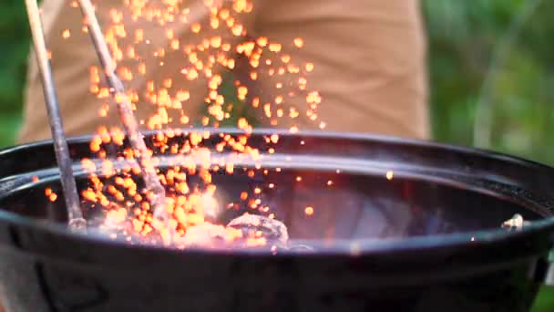 Grillen Großaufnahme Zeitlupe — Stockvideo