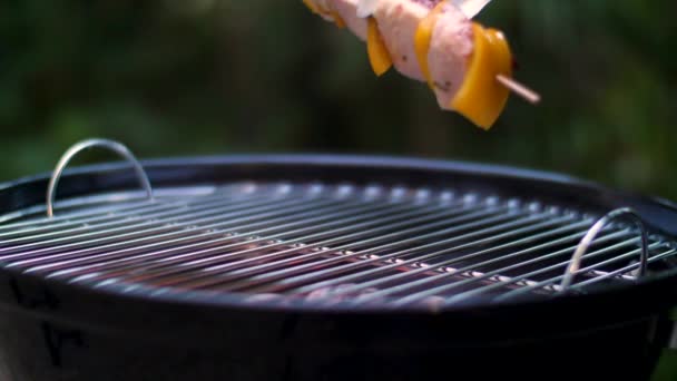 Barbecuespies Van Vlees Slow Motion — Stockvideo