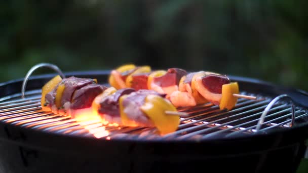 Barbecuespies Van Vlees Slow Motion — Stockvideo
