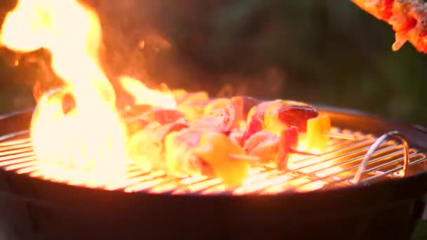 Grillspieß Aus Fleisch Zeitlupe — Stockvideo