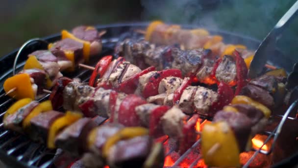 Espetos Churrasco Carne Câmera Lenta — Vídeo de Stock