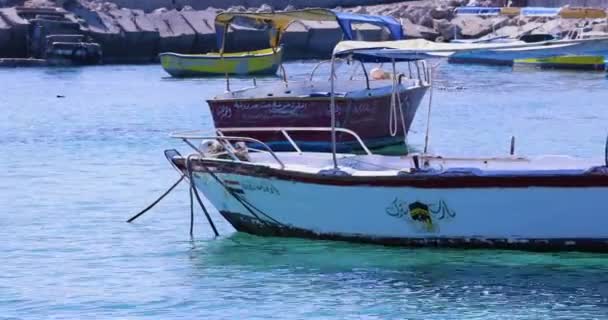 Barcos Pescadores Puerto — Vídeos de Stock