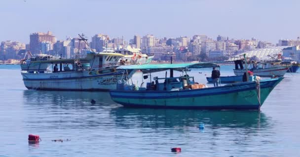 Bir Limanındaki Balıkçı Tekneleri — Stok video