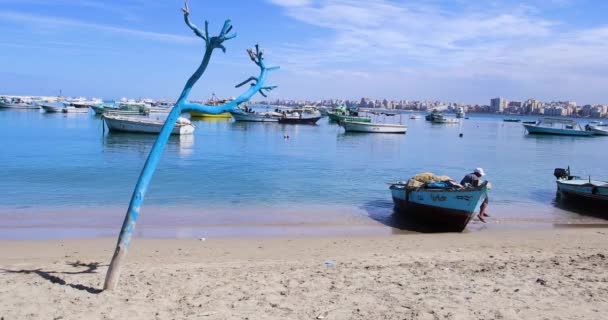 Skenderiye Mısır Mart 2018 Limandaki Balıkçı Tekneleri — Stok video