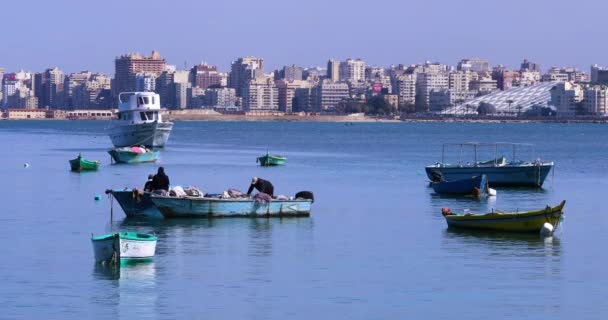 Fishermen Boats Harbor — Stock Video