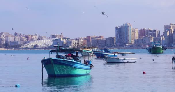 Рибальські Човни Гавані — стокове відео
