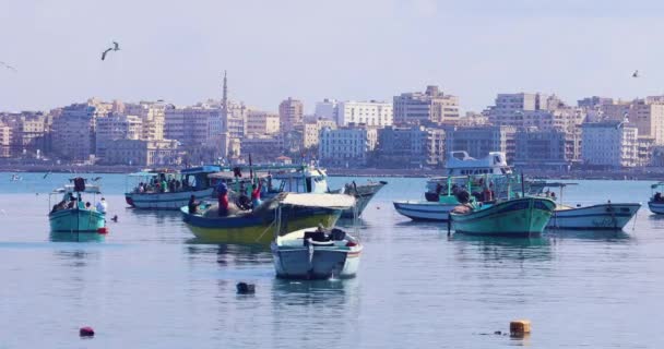 Fishermen Boats Harbor — Stock Video