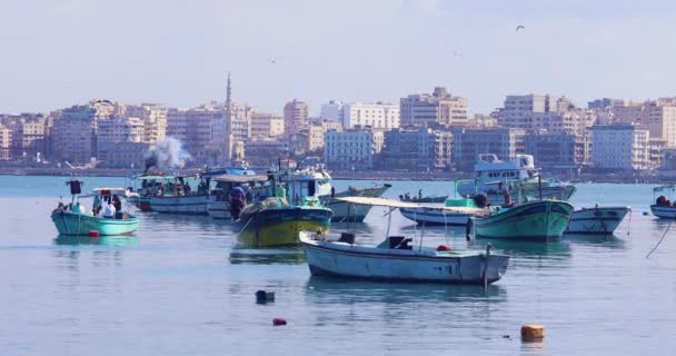 Barche Pescatori Porto — Video Stock